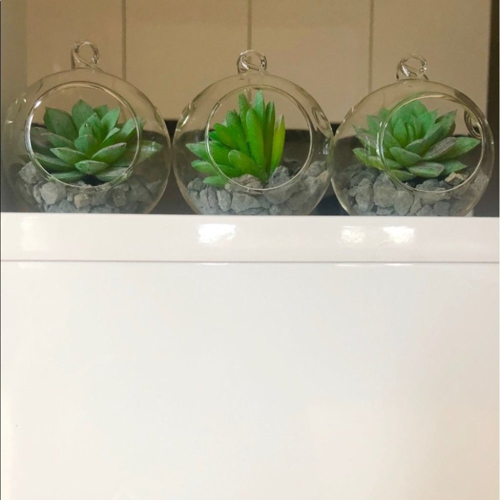 Set of 3 succulent terrariums - Picture 14 of 16